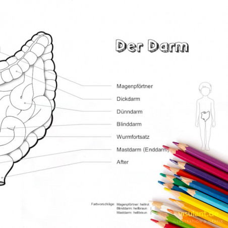 Ausmalbild DARM