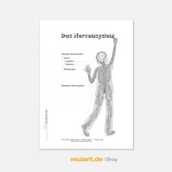 Ausmalbild AUGE, aussen