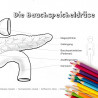 Ausmalbild HERZ-KREISLAUF-SYSTEM